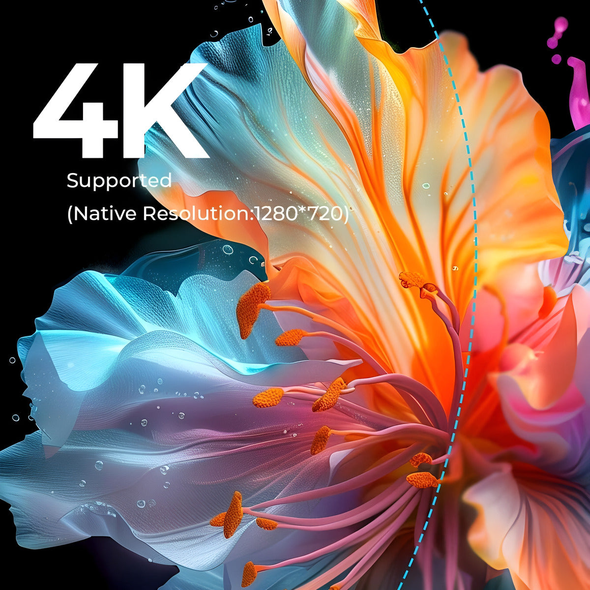 Colorful flower with '4K Supported' text on a black background