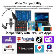 Recording Mic Set w/ Sound Card