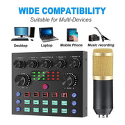 Recording Mic Set w/ Sound Card