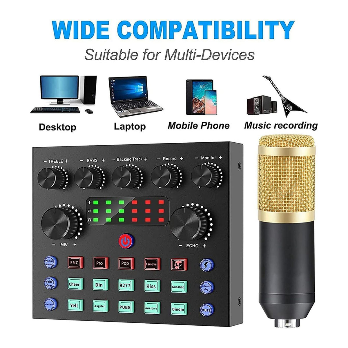 Recording Mic Set w/ Sound Card
