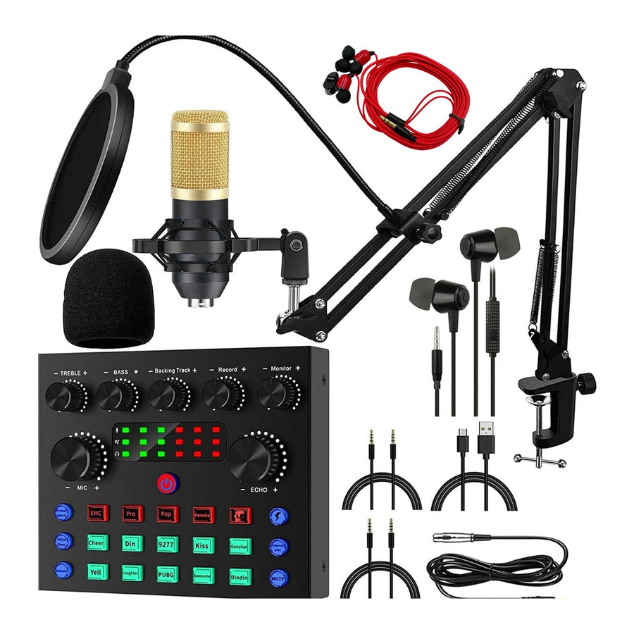 Recording Mic Set w/ Sound Card
