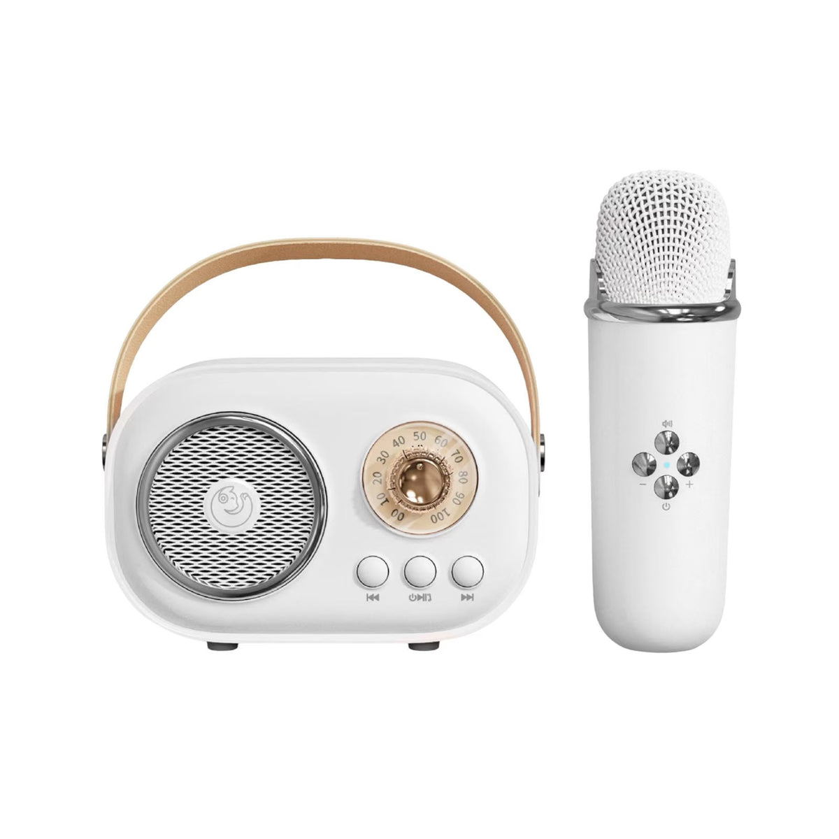 Karaoke Set w/ Mic C20 Plus