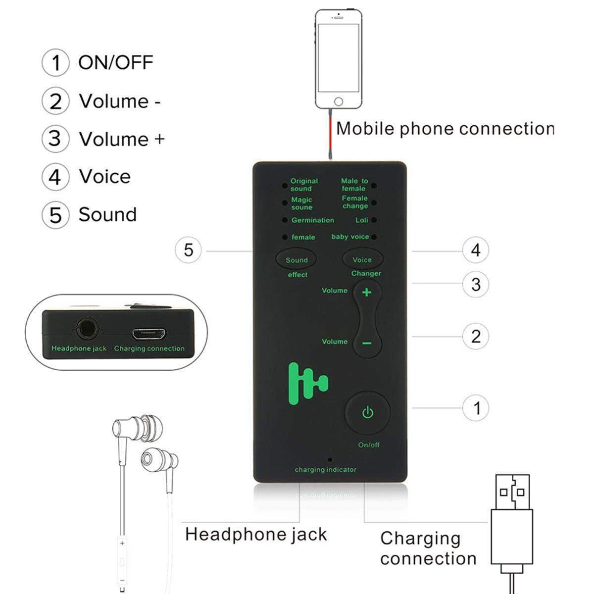 Voice Changer Device