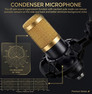 Recording Mic Set w/ Sound Card