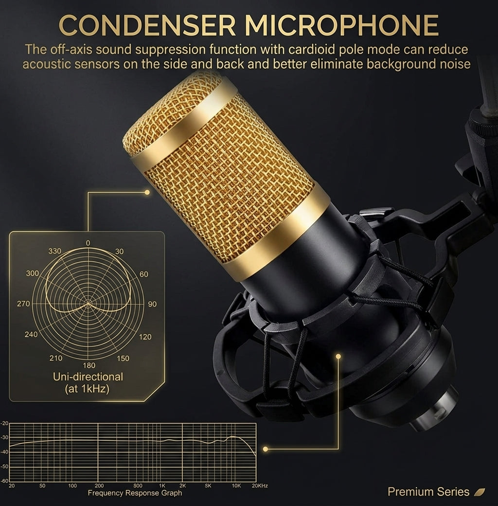 Recording Mic Set w/ Sound Card