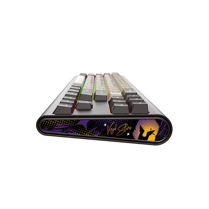 HAVIT KB896L x VKS Gamer Mechanical Keyboard RGB 1.2m