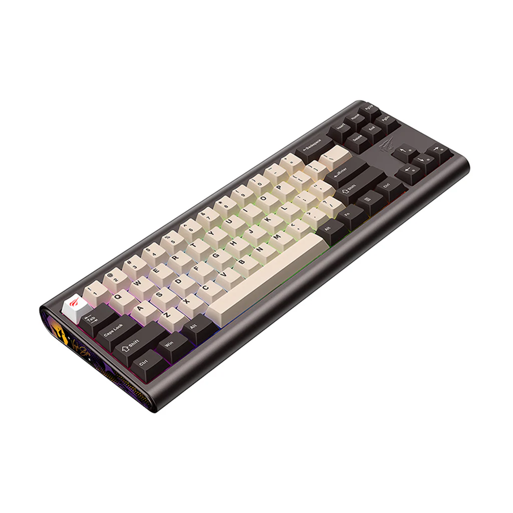 HAVIT KB896L x VKS Gamer Mechanical Keyboard RGB 1.2m