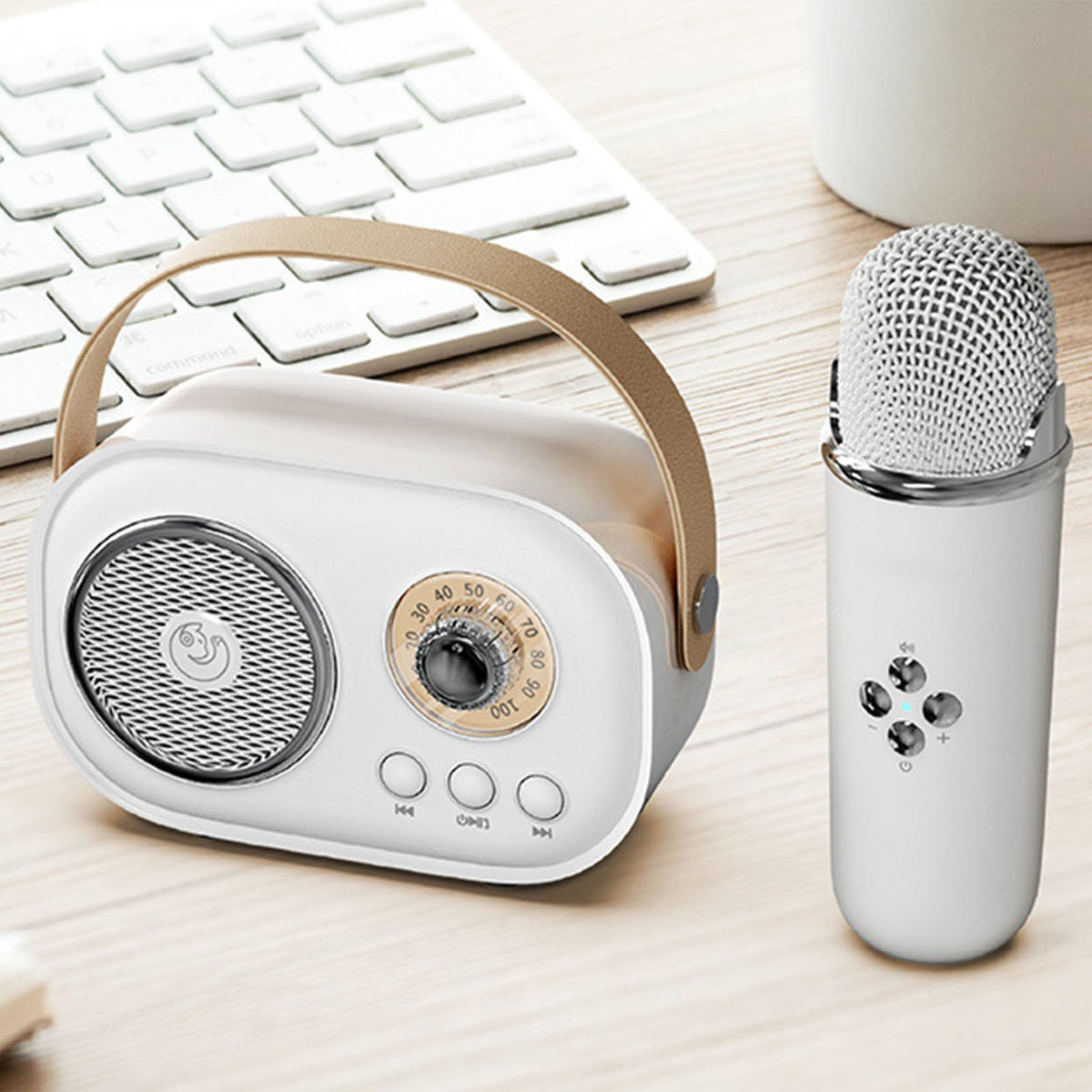 Karaoke Set w/ Mic C20 Plus