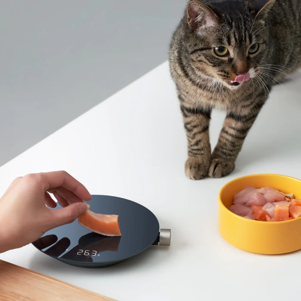 HOTO Smart Kitchen Scale, Cat standing next to a bowl of food with a digital scale on a white surface