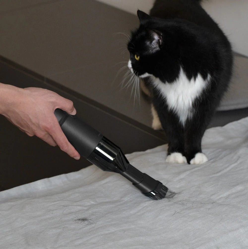 Person using a handheld vacuum cleaner on a bed with a black and white cat observing.