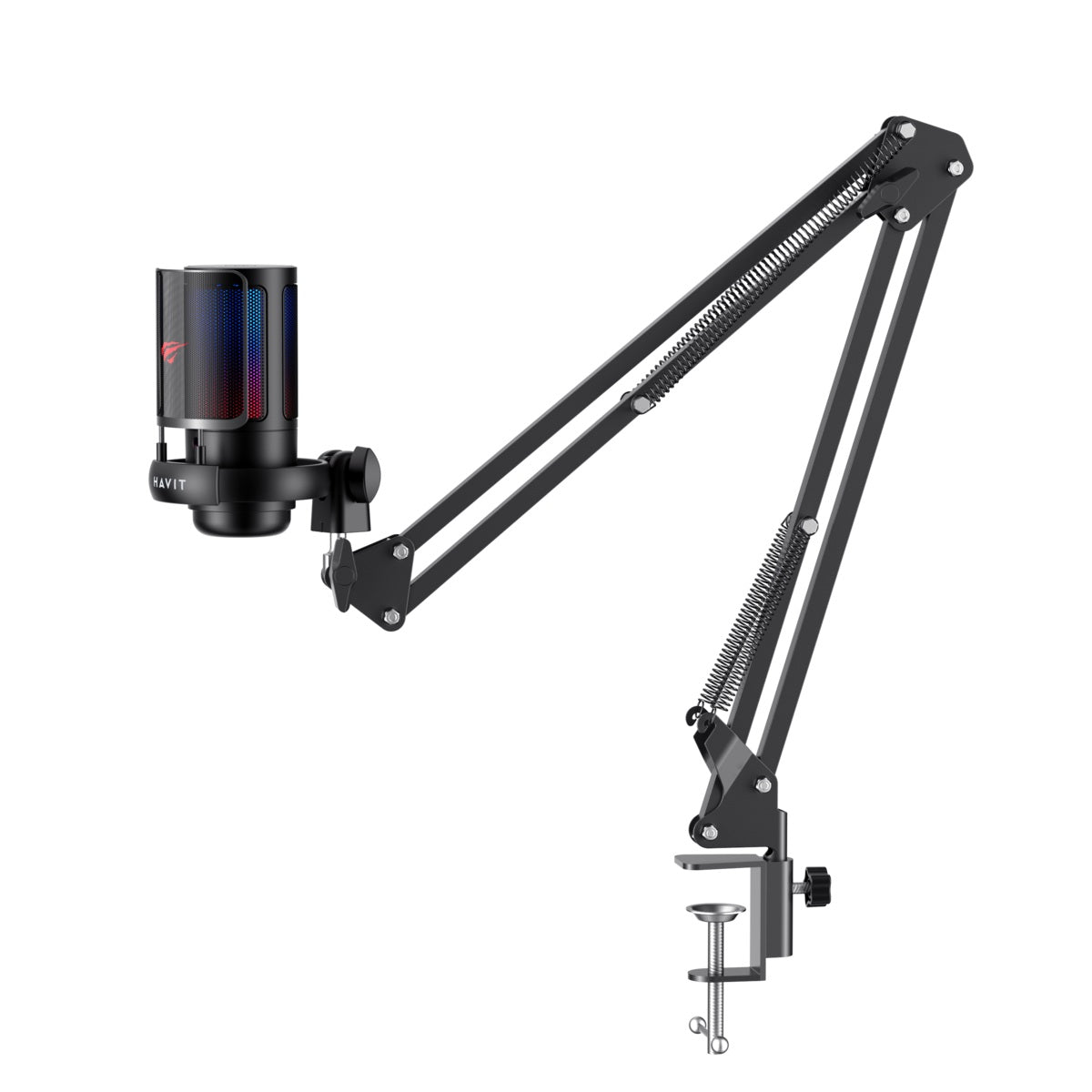 HAVIT GK50 Pro PC Series Live Microphone