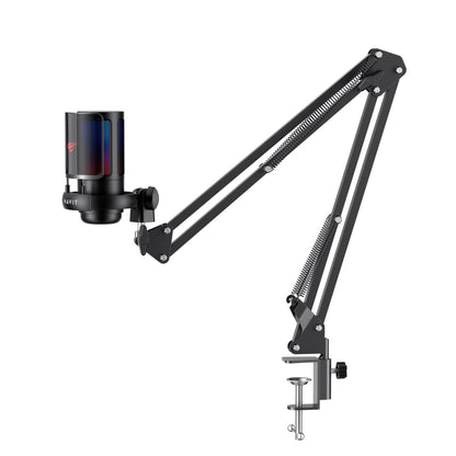 HAVIT GK50 Pro PC Series Live Microphone