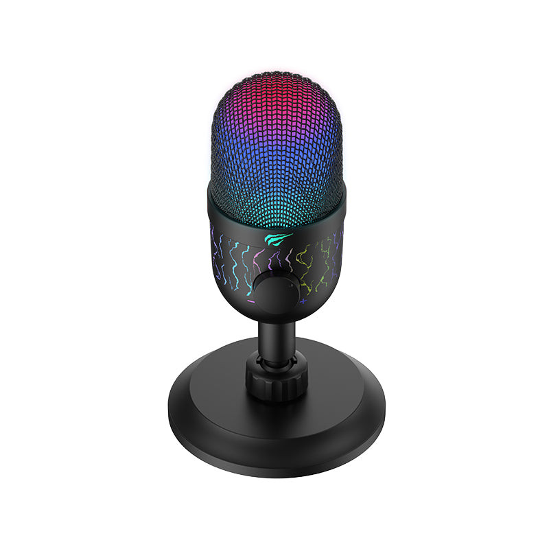 HAVIT GK52 Cardioid Live Recording Microphone