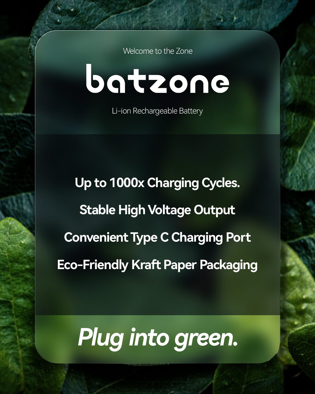 batzone Type C Li-ion Rechargeable Battery C 7200mWh (2Pcs), batzone battery packaging with green leaf background