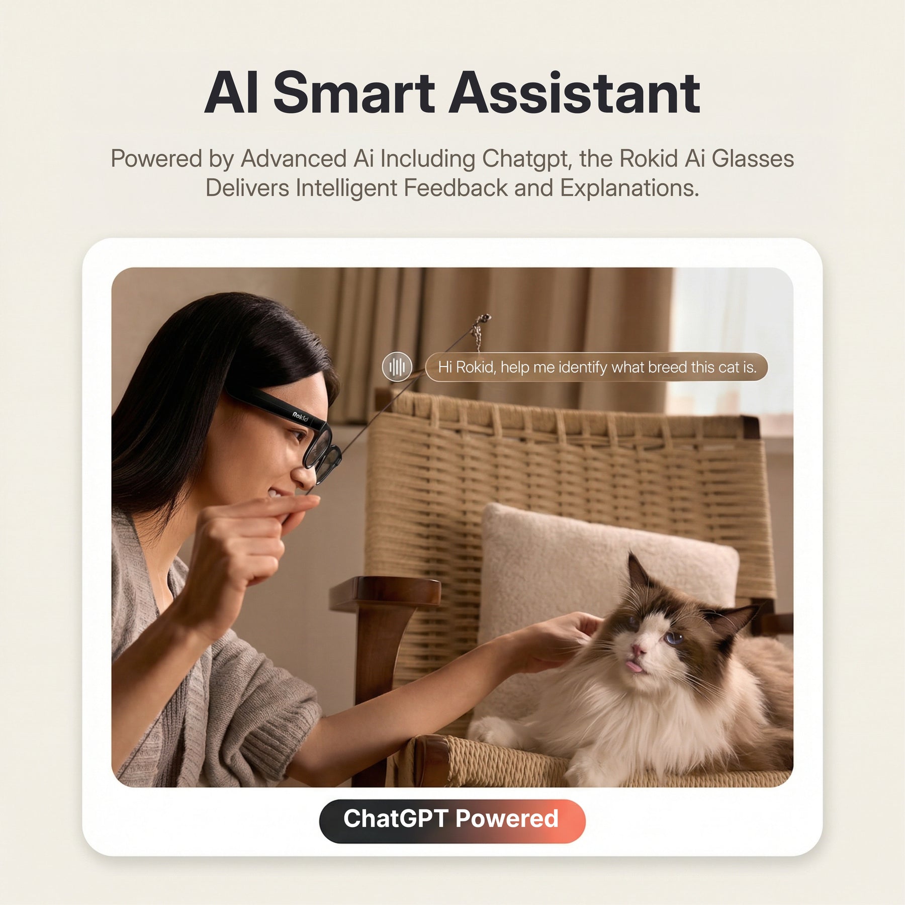 Rokid AI Glasses Style (ChatGPT & Gemini, 12MP POV Camera, Real‑Time Translation) Person using an AI smart assistant with a cat, featuring ChatGPT and Rokid Ai Glasses.