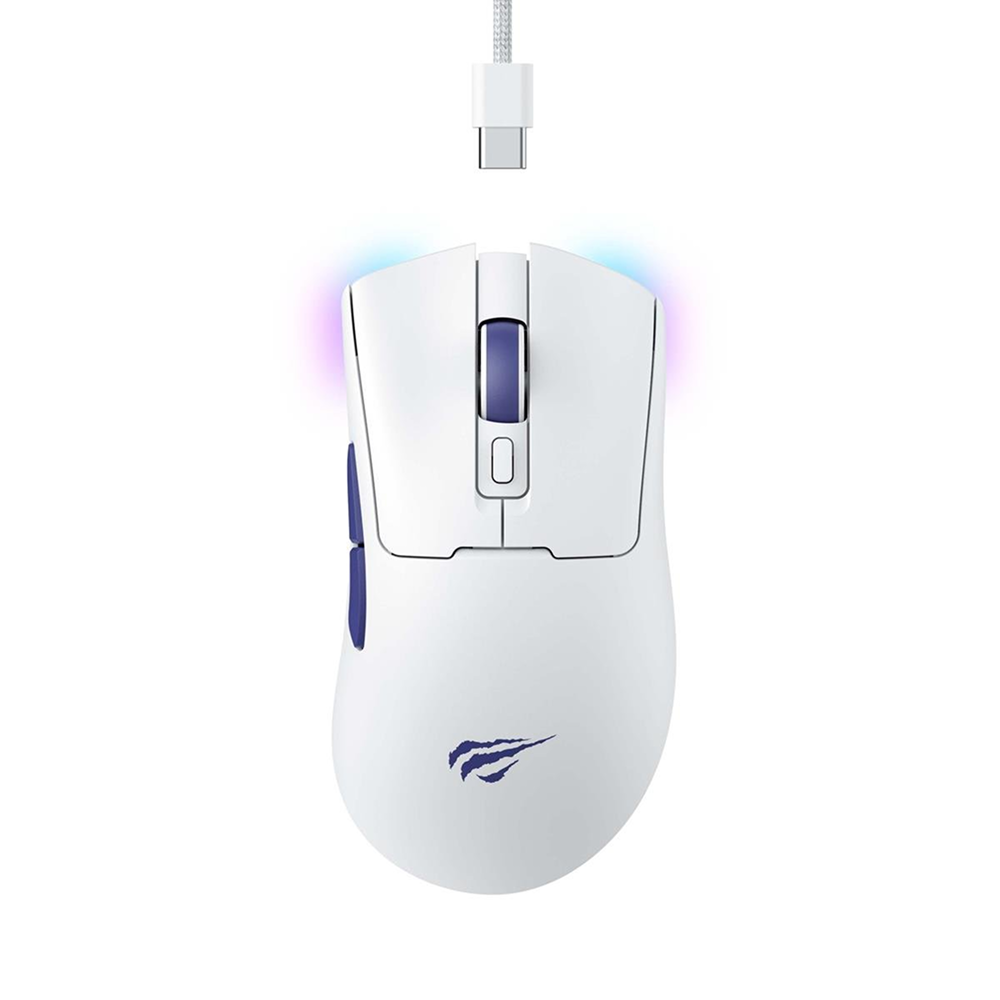 HAVIT MS966WB Gaming Mouse Wireless Wired RGB 10000 DPI